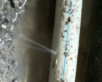 霍尔果斯卫生间测漏水多少钱