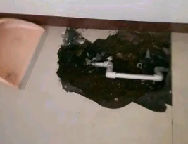 霍尔果斯卫生间测漏水多少钱